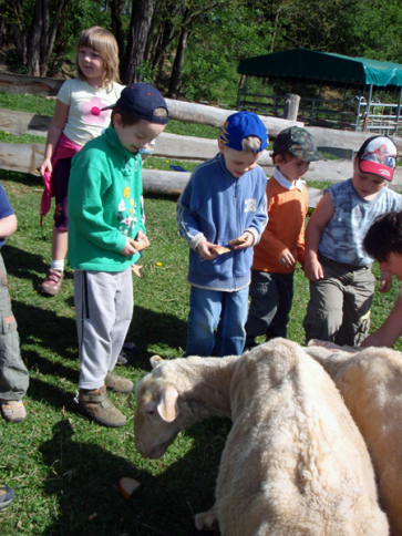 Akce pro děti - zvířátka na farmě